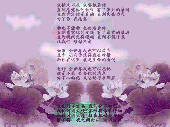 1050cddf572f307194ee37ad.jpg