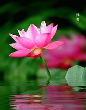 m_80e7f1479e973d8f1c00a84b87095149.jpg