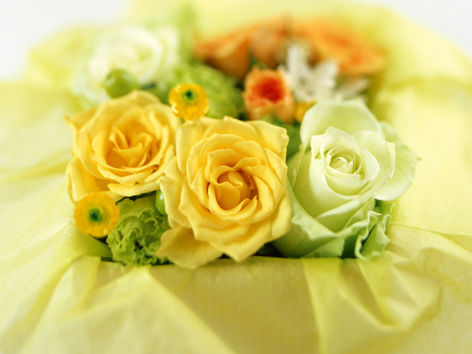 2edb5fd5a4f4369da044df99.jpg