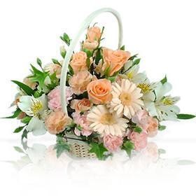 10041601219c47dd3529cfb6bc.jpg