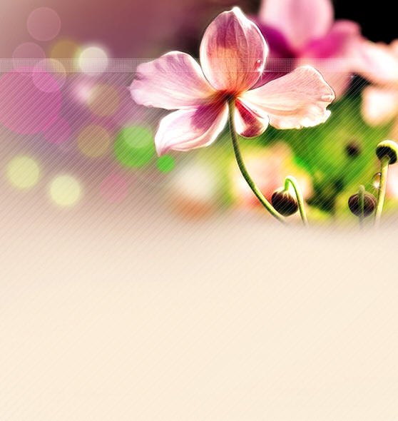 2011031508363981.jpg