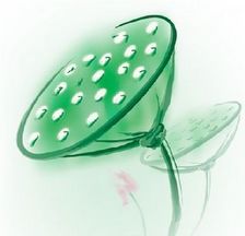 e35d2fc4ce3b39b08226acb9.jpg