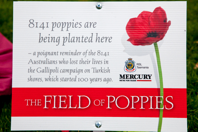 2015.04.21_ANZAC Day Centenary Planting Poppies_13.jpg